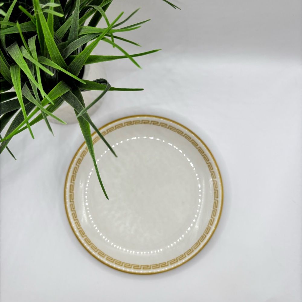 Elegant Gold Rimmed Dinner Plate